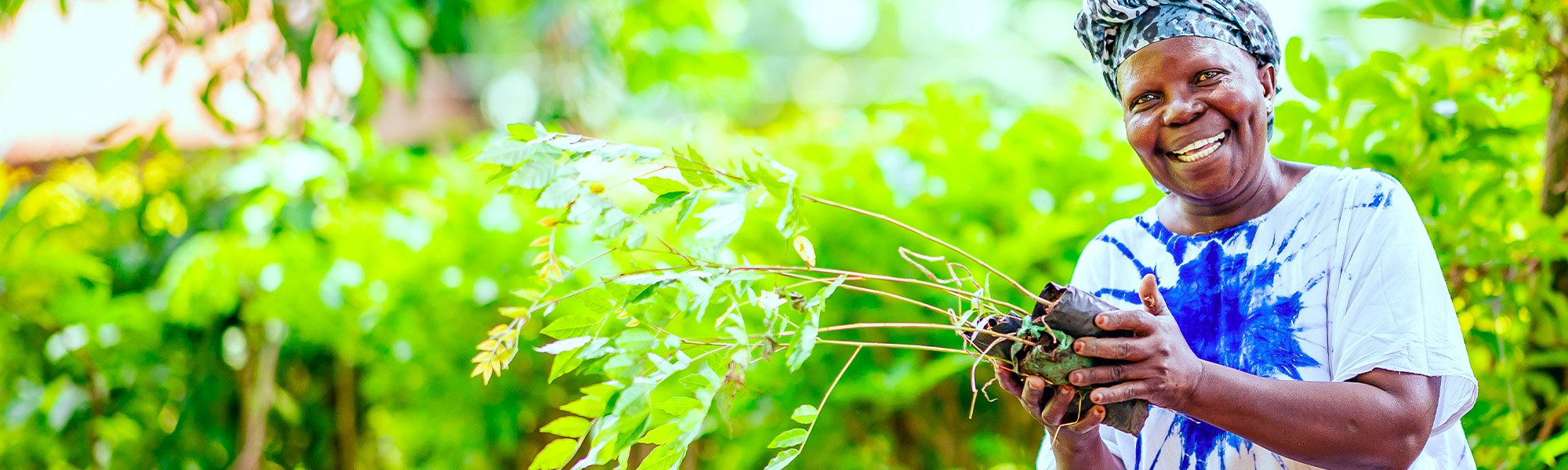 Visuel 01 Hero Visual Re