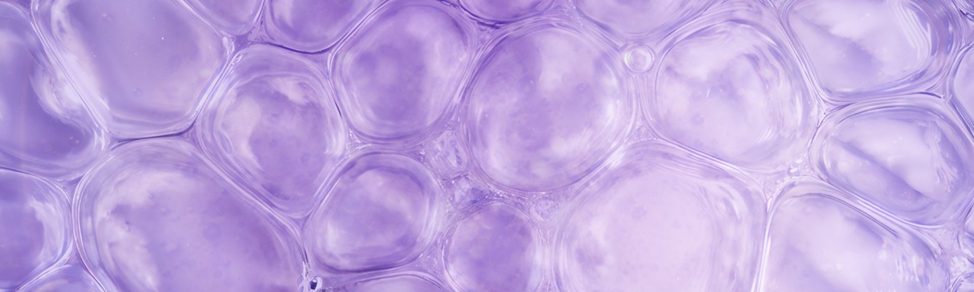 Loreal AH 2024 Banner Molecula MX (1)