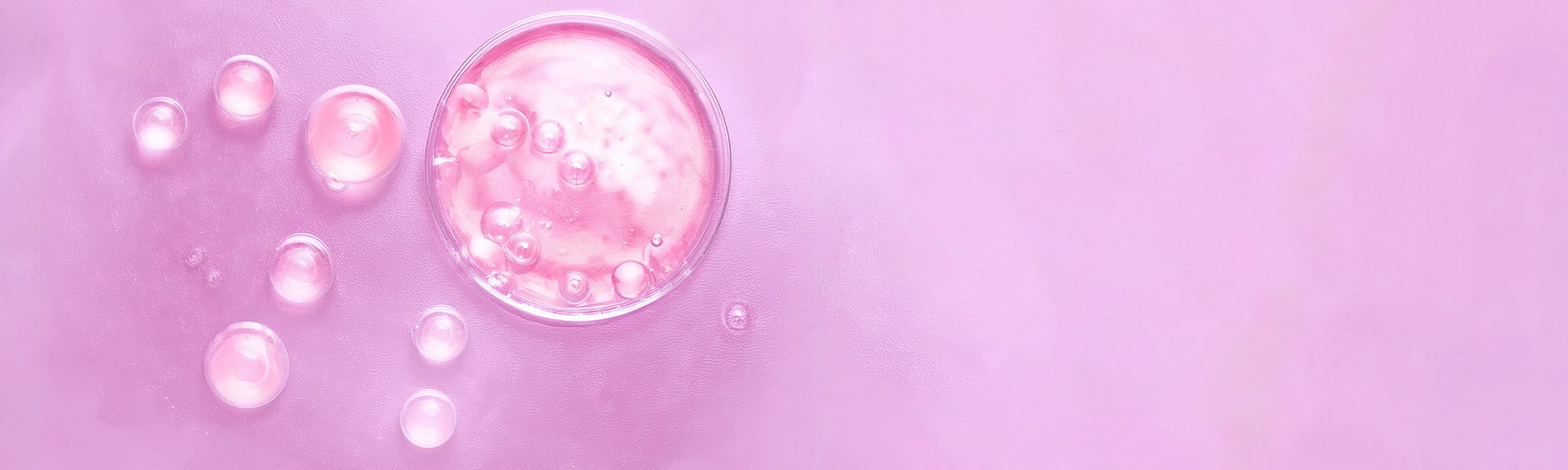 LorealmultimarcaSEO EDITORIAL OAP 121 AMX1