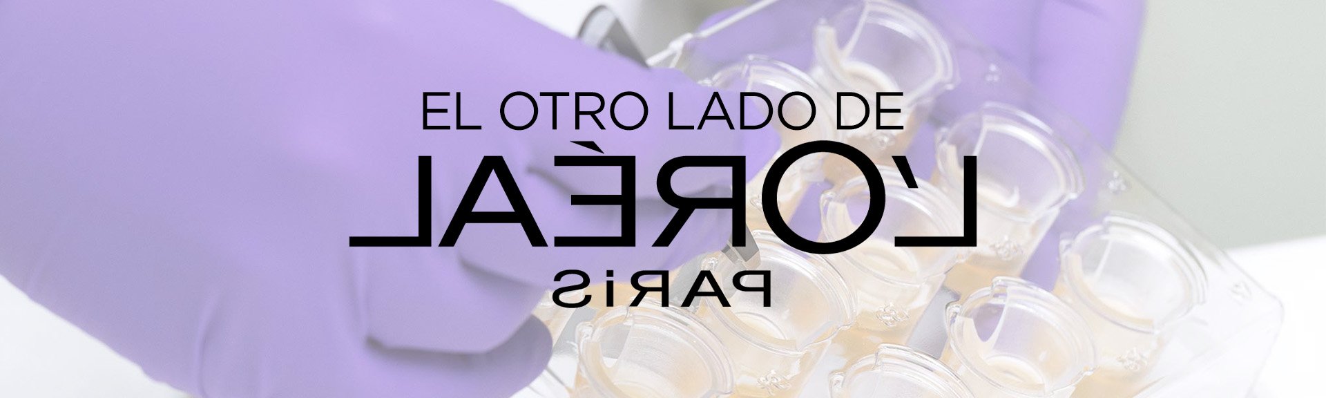 The Other Side Header