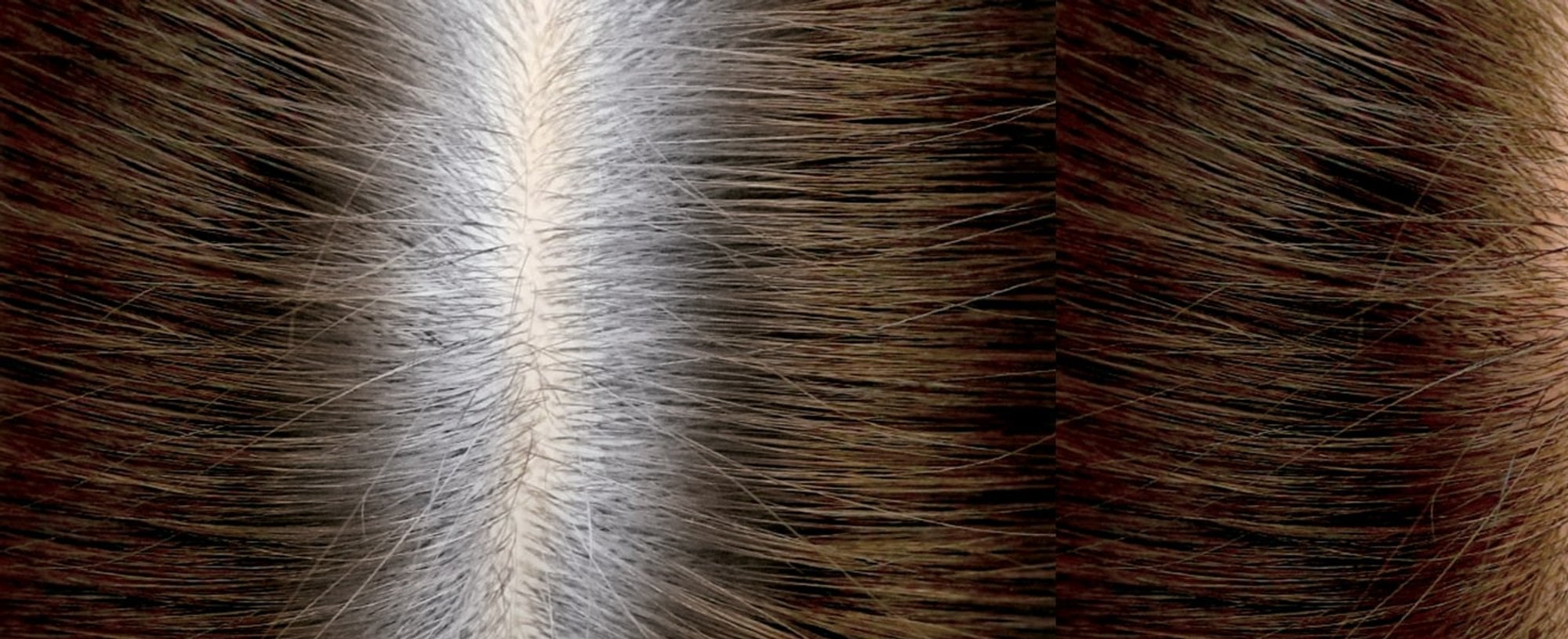 BANNER TIEMPO DE ESPERA PARA TEIRSE Min