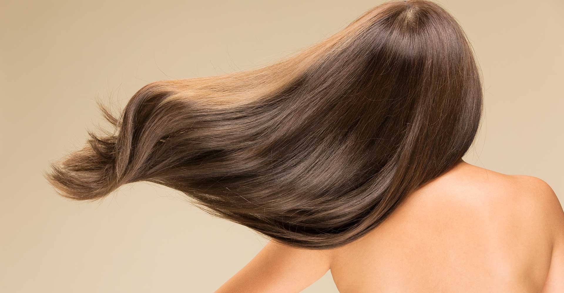 Modelo De Costas Com Cabelos Volumosos Castanhos