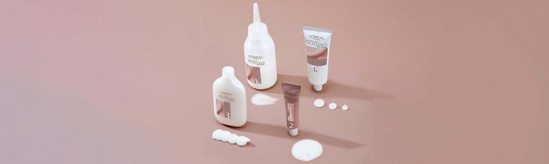 BANNER EXCELLENCE PASOS