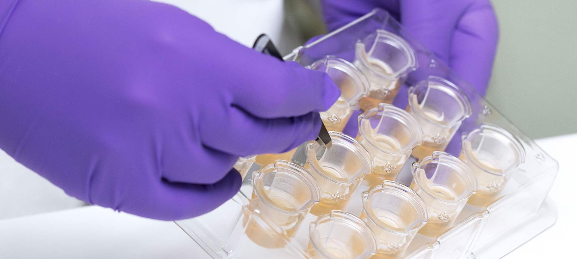 The Other Side Our Ethics Hero Banner