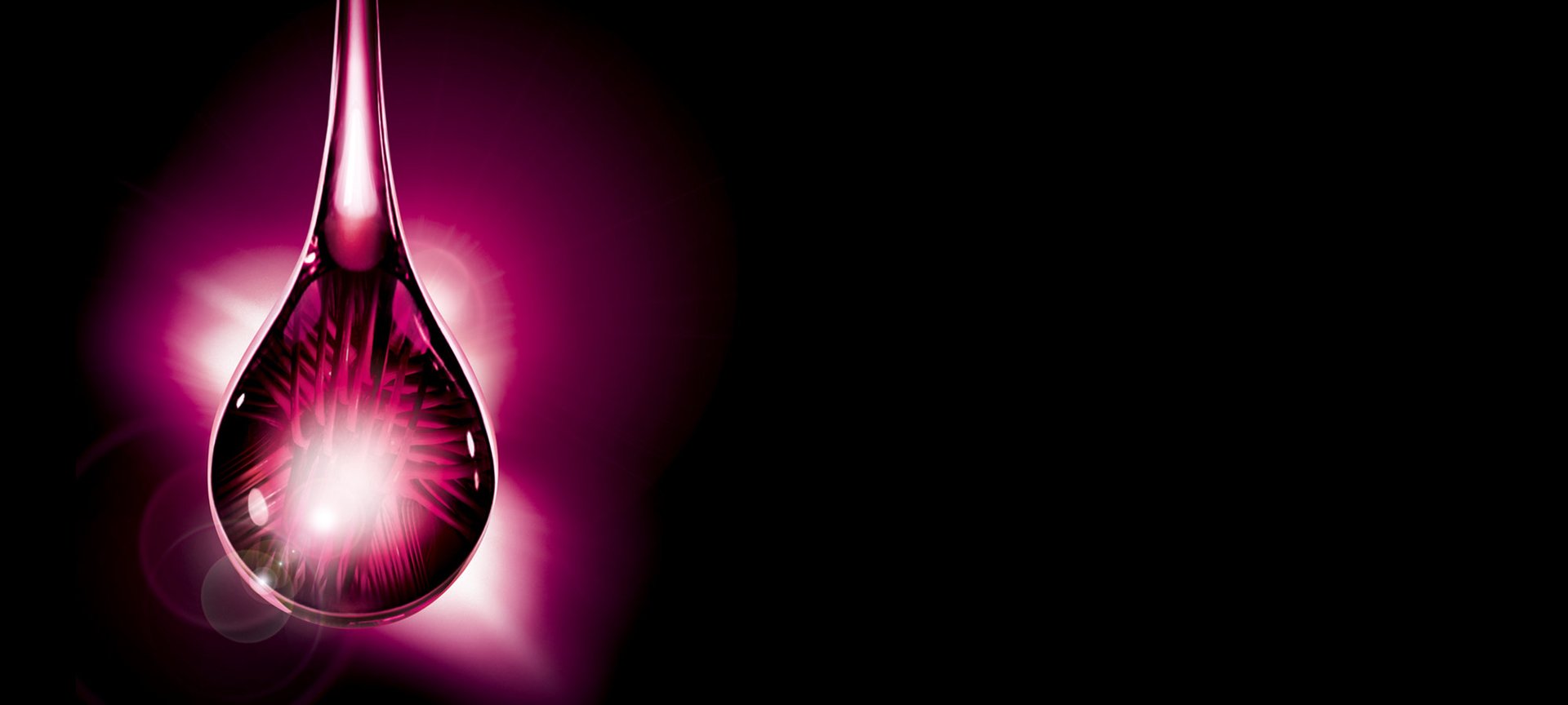 Elvive Caida Resist Cpp Imagen Madre