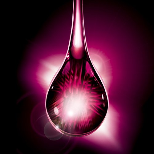 Elvive Caida Resist Cpp Imagen Madre