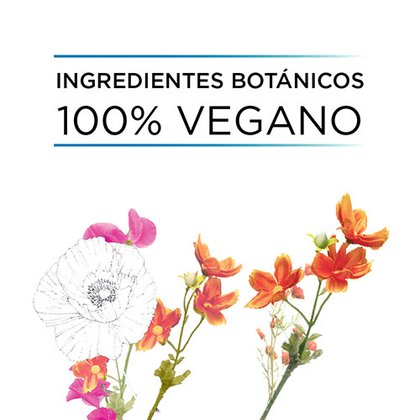 Ever Fórmula Vegana