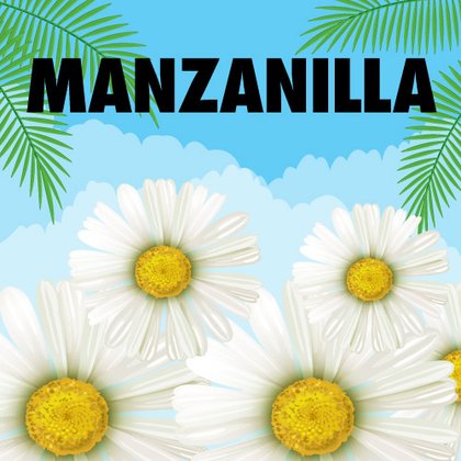 Loreal Kids manzanilla ingrediente