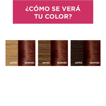 EXCELLENCE TINTE CASTANO 445 RESULTADOS