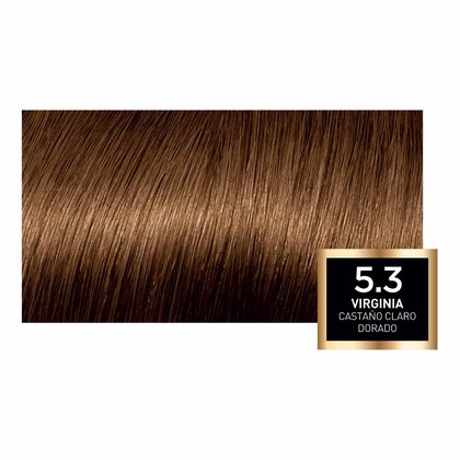 5.3 Castaño Claro Dorado
