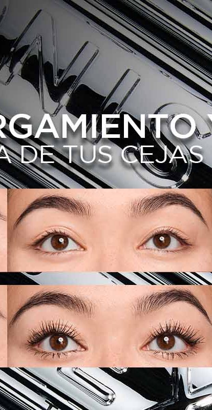 EXTENSIONIST 26 WEB B 2000x800px MX
