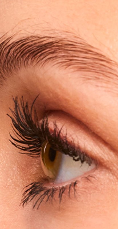 EXTENSIONIST 26 WEB H 2000x800px MX