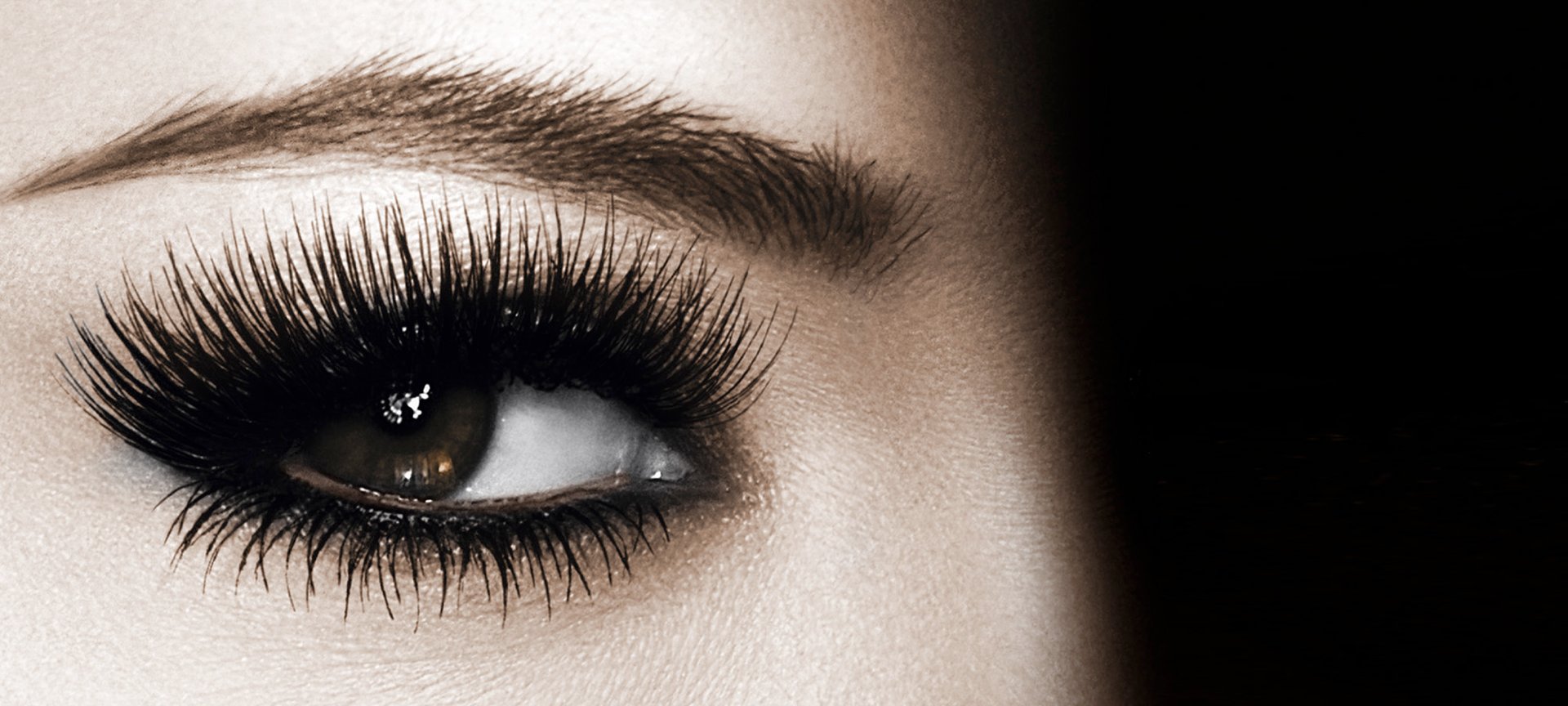 False Lash Architect 4D Mascara de pestañas L'Oréal Paris