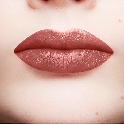 Color Riche Classique 107 Lapiz Labial Terminado