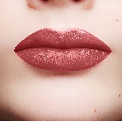 Color Riche Classique 110 Lapiz Labial Terminado