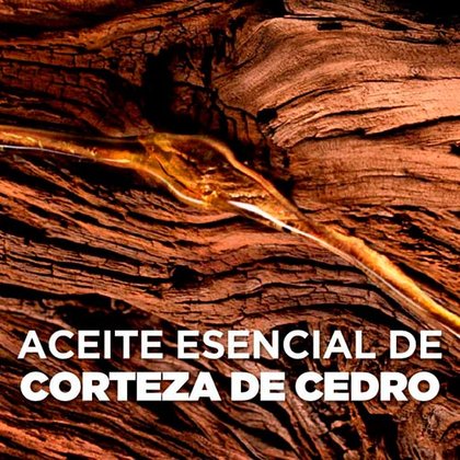 Shampoo 3 en 1: Barba, Rostro y Cabello Barber Expert Ingrediente